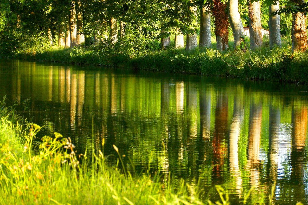 Hotelf1 Beziers Est Bagian luar foto